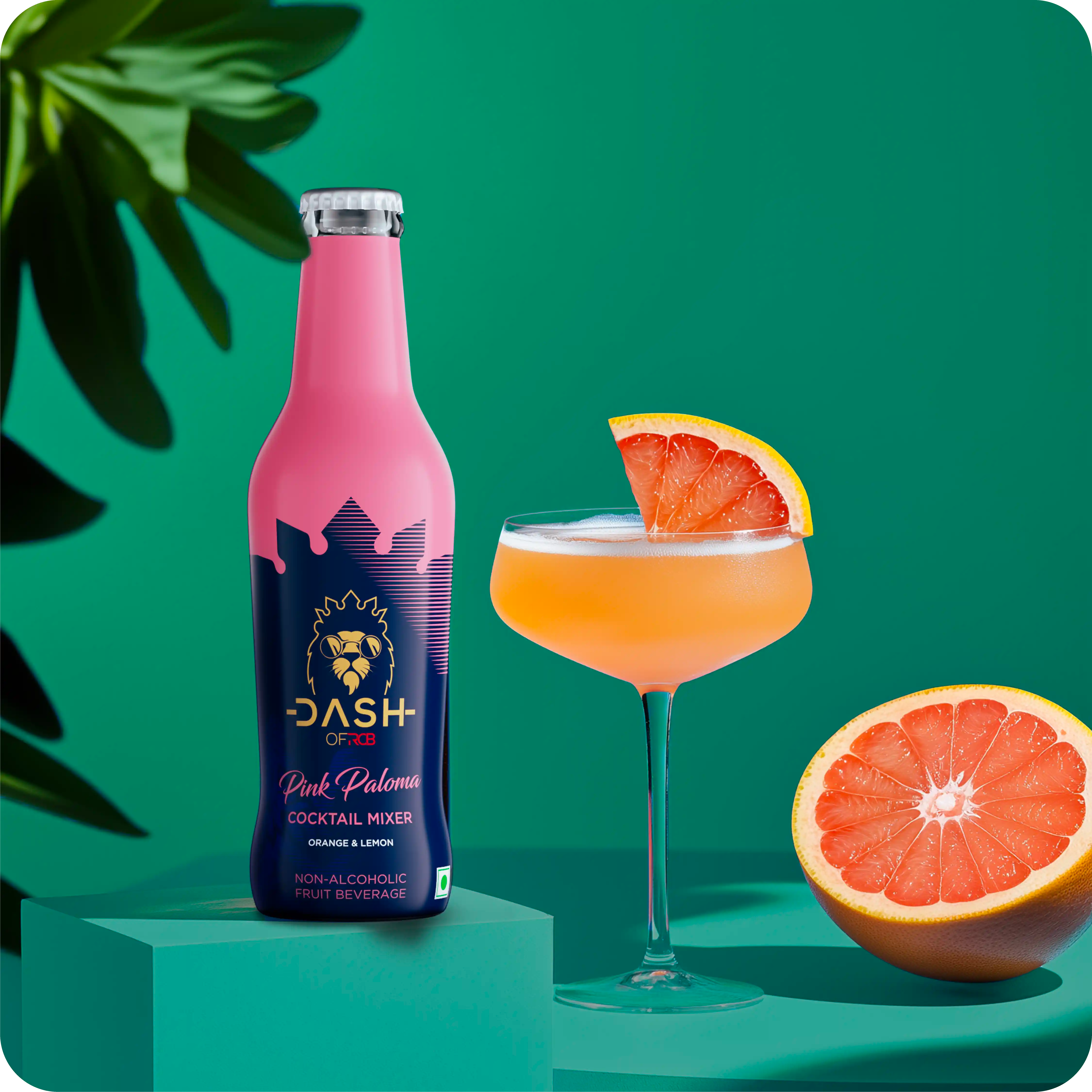 PINK PALOMA - Dash of RCB